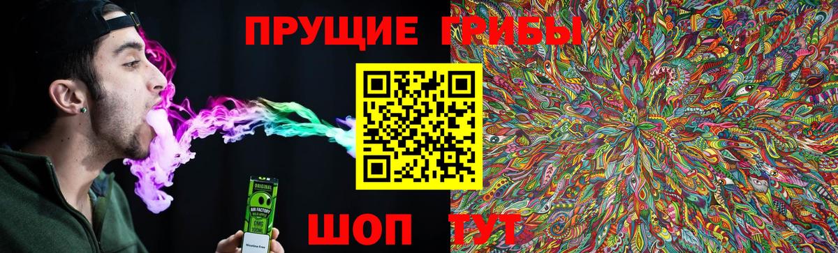 Псилоцибиновые грибы прущие грибы Новосибирск